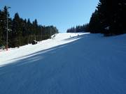 Hinterwies downhill run