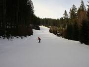 Family slope