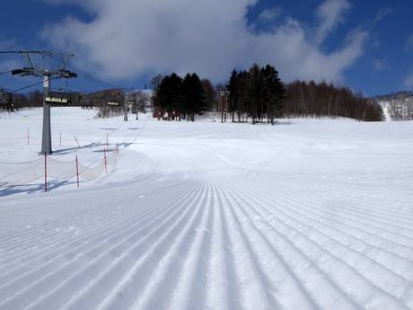 Slope preparation Japan – Slope preparation Rusutsu