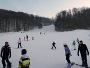 Beginner area at the practice lift