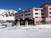 Alpenrose