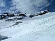 Open terrain between the slopes
