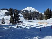Tip for children  - Brixen im Thale children's area
