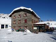 Bistro Snow Thrill