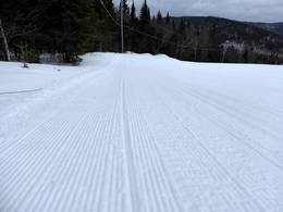 Stoneham