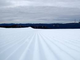 Mt. Buller