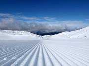 Perfect slope grooming at Mount Parnassos