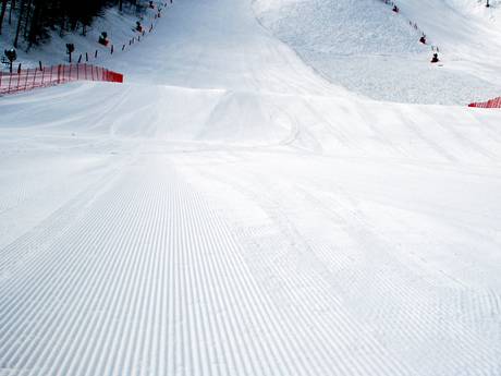 Slope preparation Russia – Slope preparation Rosa Khutor