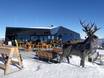 Huts, mountain restaurants  Murtal – Mountain restaurants, huts Kreischberg