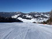 Pabstin slope