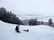 Moose downhill run