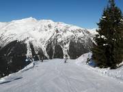 Zeiniswald descent