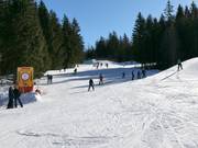 Easy family slope