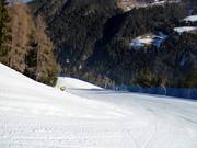 Valley run "Michl"
