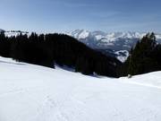 Schwendipiste slope with panoramic views