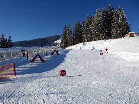 Ski resorts for beginners in the Alpin Card area of validity – Beginners Schmittenhöhe – Zell am See
