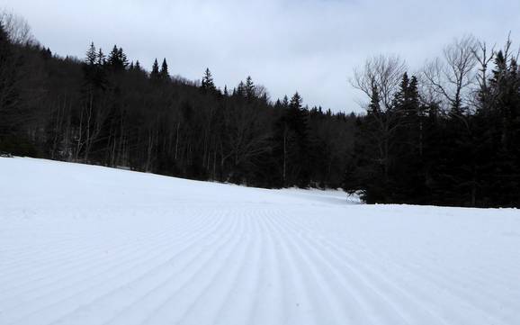 Slope preparation Vermont – Slope preparation Killington