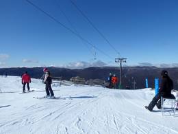 Sponars T-bar