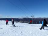 Sponars T-bar