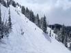 Ski resorts for advanced skiers and freeriding Salt Lake City – Advanced skiers, freeriders Brighton