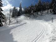 The Fernskiwanderweg Schonach-Belchen passes directly through the ski area.