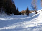 Challenging valley run Delle Cole