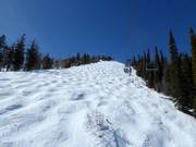 Mogul slope Holiday