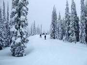Summit Ski Way