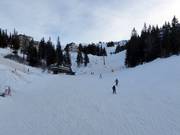 Ogorjelica 3 slope