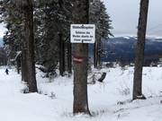 Entering the forest is prohibited