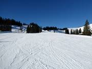 Hörnle Run