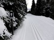 The Kapellenspur at the Stübenwasen lift