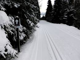 Todtnauberg