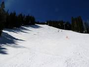 S-Star downhill run