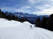 Family slope in the Plose ski area