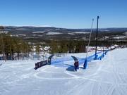 Speed skiing in the lower section of the World Cup piste