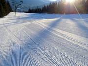 Freshly groomed beginner slope in the Marmot Basin ski area