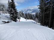 Easy valley run