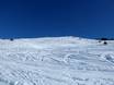 Ski resorts for advanced skiers and freeriding Südtirol Skiarena – Advanced skiers, freeriders Minschuns – Val Müstair-Tschierv