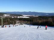 Forsthaus run I