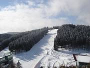 Typical forest aisle slope in the Skiliftkarussell