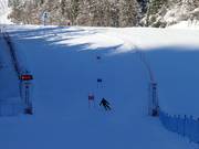 Ski Movie parallel race track