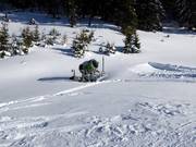 Snow cannon in the Loser ski resort