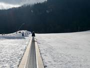 Ideal beginner slope