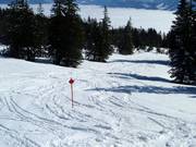 Ski route Märchenwiese