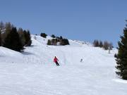 Sonnboden slope