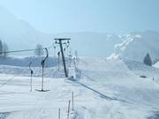 Brongen - T-bar