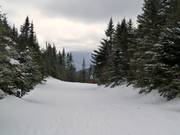 Moose Run