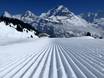 Slope preparation Jungfrau Region – Slope preparation Schilthorn – Mürren/Lauterbrunnen