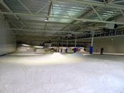 The main slope with obstacles